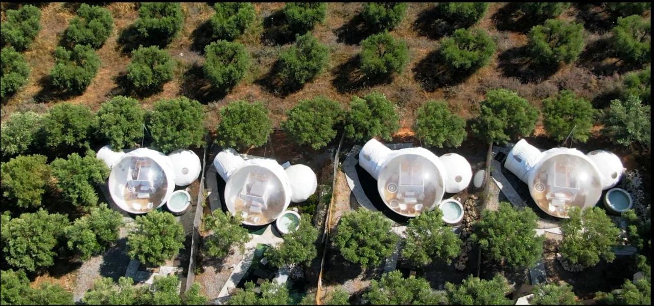 Hotel Bubble Tent Nea Moudania Exteriér fotografie